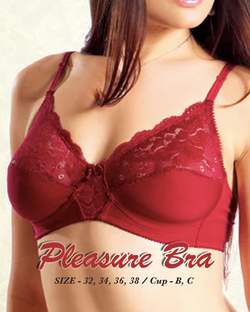 Pleasure Bra - Flourish Bra - Net Soft Jersey Cotton Bra - Non Padded Non Wired Bra - Image 3